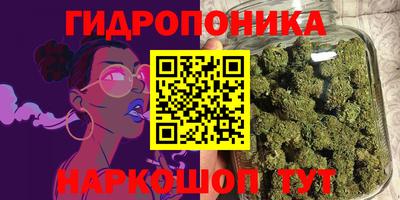 соль ск Новозыбков