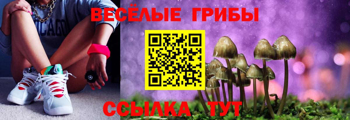 Псилоцибиновые грибы Cubensis  Вход с VPN  Сочи  Галлюциногенные грибы ЛСД 